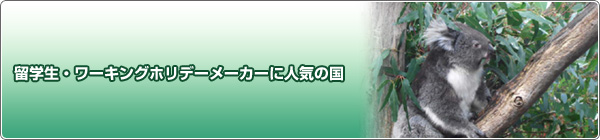 ���w���E���[�L���O�z���f�[���[�J�[�ɐl�C�̍�