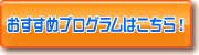 �������߃v���O����